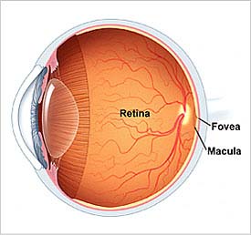 retinal care